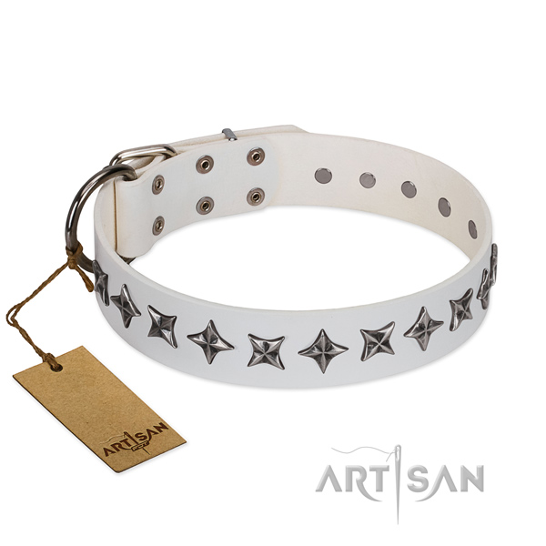 Easy wearing dog collar of top notch genuine leather with adornments