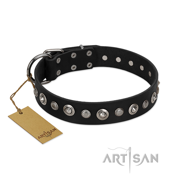 Strong full grain leather dog collar with remarkable embellishments