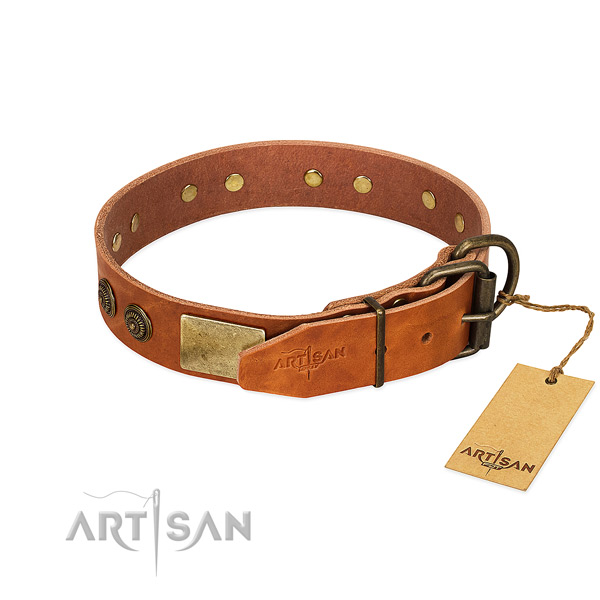 Rust-proof D-ring on genuine leather collar for fancy walking your canine