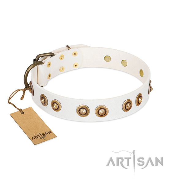 Top notch leather collar for your pet