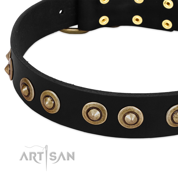 Reliable decorations on natural genuine leather dog collar for your four-legged friend