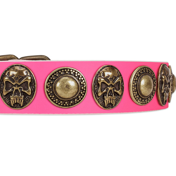 Corrosion proof buckle on genuine leather dog collar for your canine