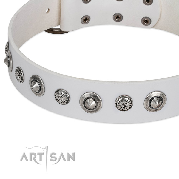 Leather collar with rust-proof fittings for your attractive four-legged friend