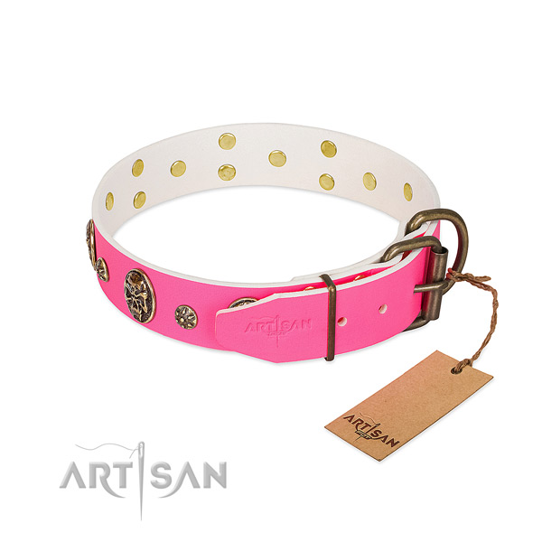 Reliable fittings on natural leather collar for everyday walking your four-legged friend