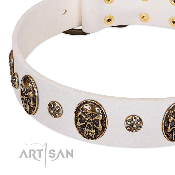 Rust-proof traditional buckle on genuine leather dog collar for your pet