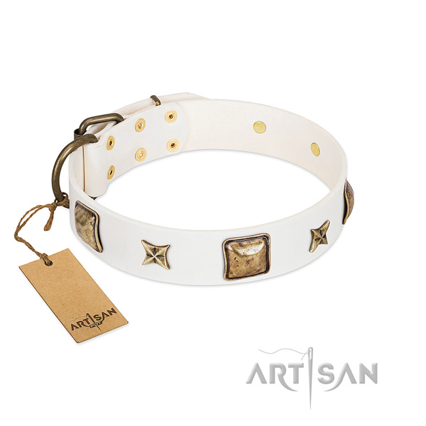 Trendy genuine leather collar for your canine
