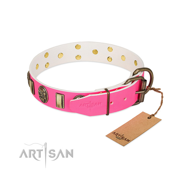 Corrosion proof fittings on natural genuine leather dog collar for your dog