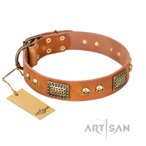 Easy wearing leather dog collar for stylish walking your canine