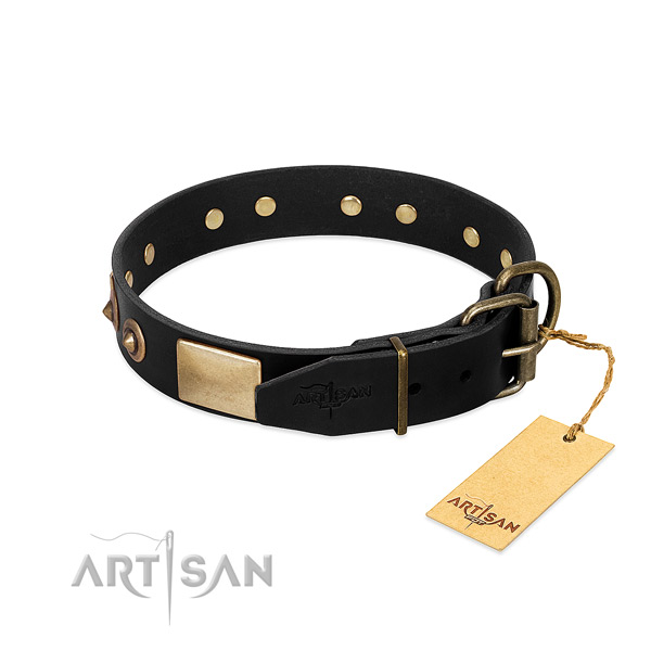 Corrosion resistant decorations on everyday walking dog collar