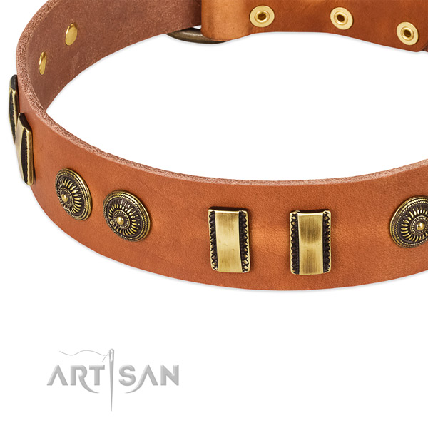 Corrosion resistant fittings on leather dog collar for your four-legged friend