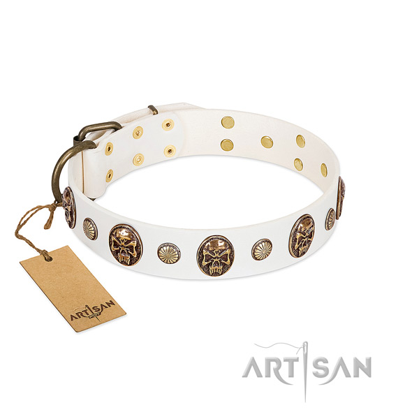 Amazing full grain natural leather dog collar for everyday walking