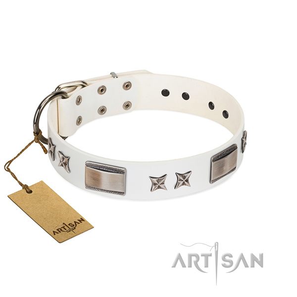 Unusual dog collar of full grain natural leather