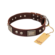 "Pirate Skull" FDT Artisan Brown Leather Great Dane Collar with Old Silver Look Plates and Skulls "Pirate Skull" FDT Artisan Brown Leather Great Dane Collar with Old Silver Look Plates and Skulls