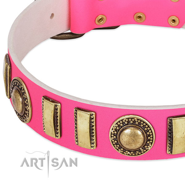 Top rate full grain natural leather dog collar for your attractive pet