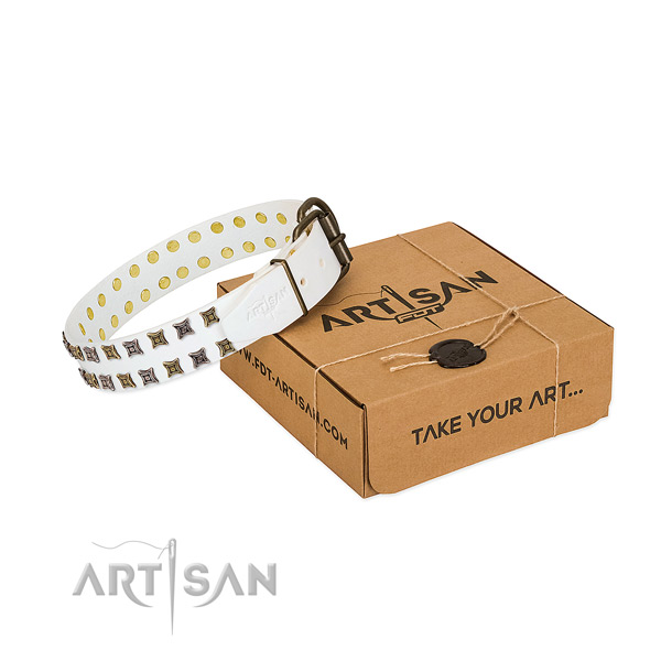 Quality natural leather dog collar crafted for your pet
