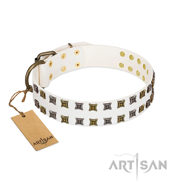 Flexible full grain leather dog collar with decorations for your dog