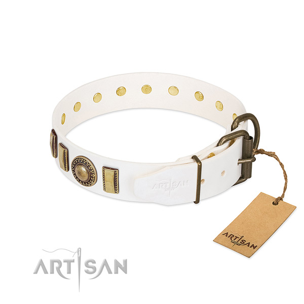 Perfect fit leather dog collar with durable fittings