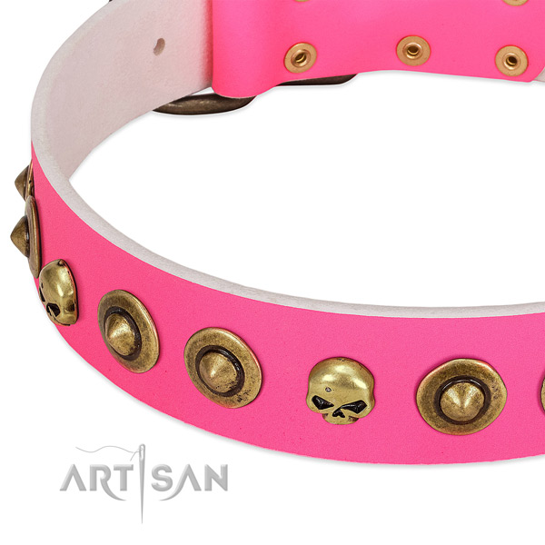 Incredible decorations on full grain natural leather collar for your pet
