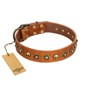 "Prez of the Pack" FDT Artisan Tan Leather Great Dane Collar with Skulls and Brooches
