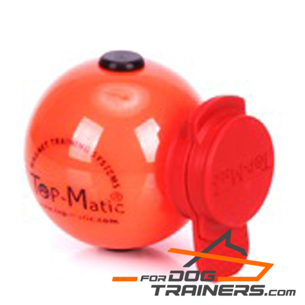 Dog training Magnetic ball