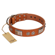 "Pawsy Glossy" FDT Artisan Exclusive Tan Leather Great Dane Collar 1 1/2 inch (40 mm) wide