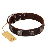 "Nut-Brown Finery" Embellished FDT Artisan Brown Leather Great Dane Collar with Chrome Plated Crossbones and Plates