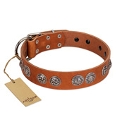 "Woofy Majesty" FDT Artisan Tan Leather Great Dane Collar with Round Silver-like Plates