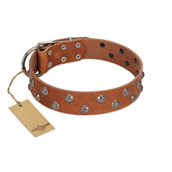 "Waltz of the Flowers" Handmade FDT Artisan Tan Leather Great Dane Collar with Chrome-plated Engraved Studs