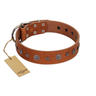 "Sweet Caramel" Designer FDT Artisan Tan Leather Great Dane Collar