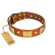 "Mutt The Daredevil" FDT Artisan Tan Leather Great Dane Collar with Old Bronze-like Skulls and Plates