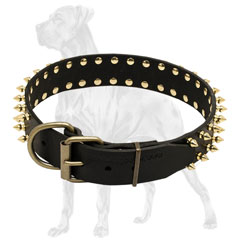 Adjustable Leather Dog Collar with Spikes