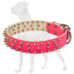 Spiked Pink Leather Dog Collar with Buckle