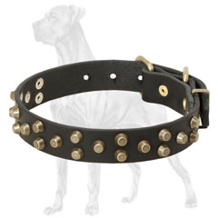 Decorated Leather Dog Collar