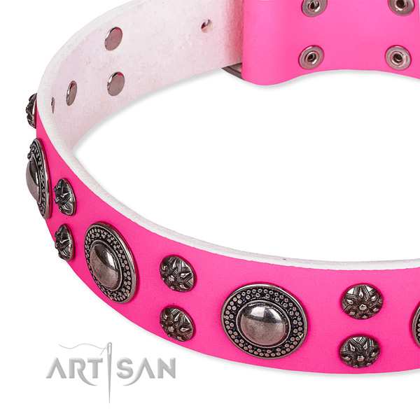 Easy to use leather dog collar with extra sturdy set of hardware