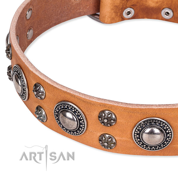 Easy to use leather dog collar with resistant durable set of hardware