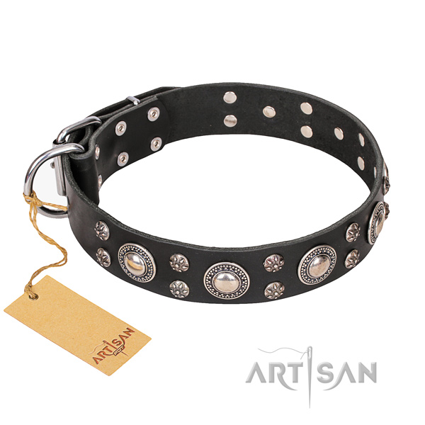 Long-wearing leather dog collar with riveted hardware