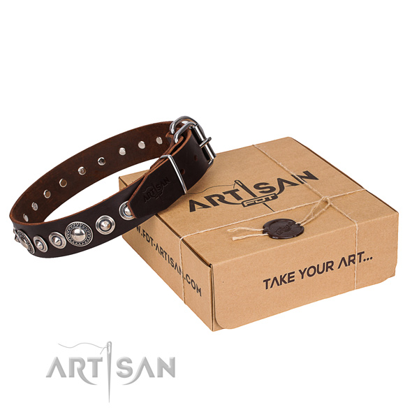 Stylish full grain natural leather dog collar for walking in style