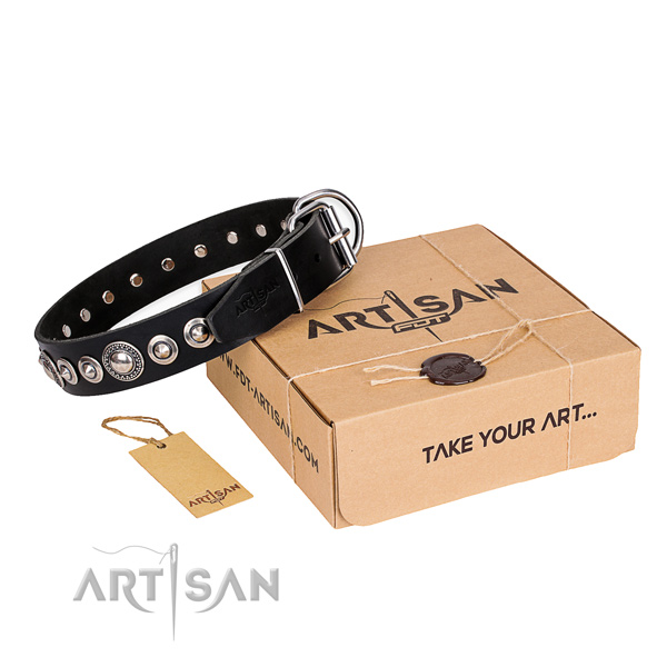 Trendy full grain genuine leather dog collar for stylish walks