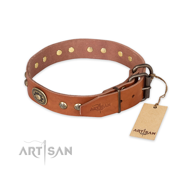 Significant design studs on leather dog collar