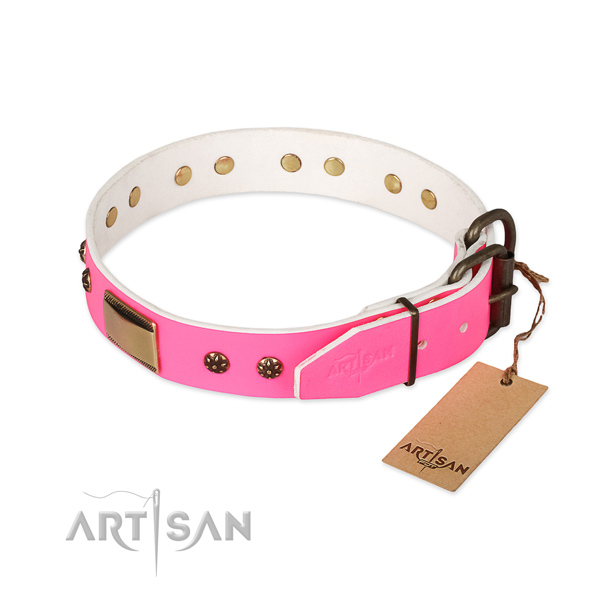 Walking full grain natural leather collar with adornments for your canine