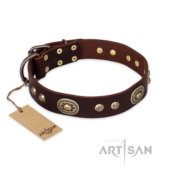 Everyday use genuine leather collar with embellishments for your pet