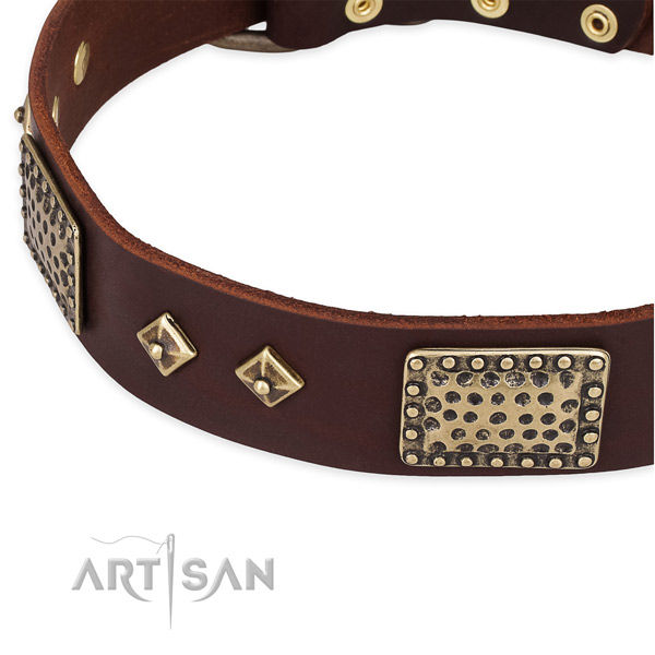 Daily walking leather collar with durable buckle and D-ring