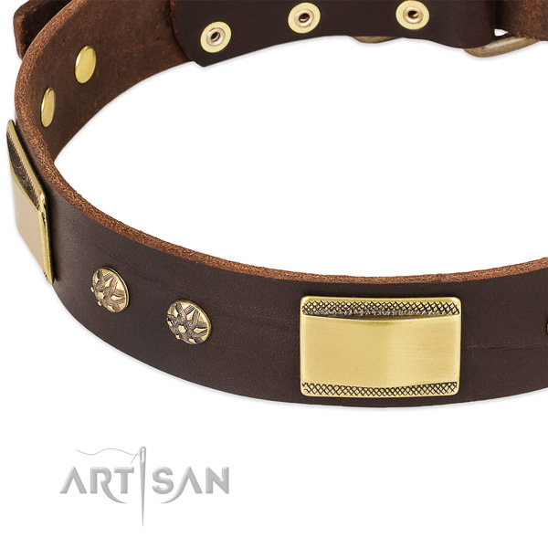 Everyday use leather collar with strong buckle and D-ring