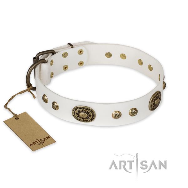 Daily use full grain natural leather collar with studs for your dog