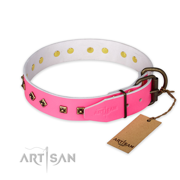 Everyday walking full grain leather collar with studs for your dog