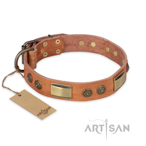 Walking full grain leather collar with adornments for your canine