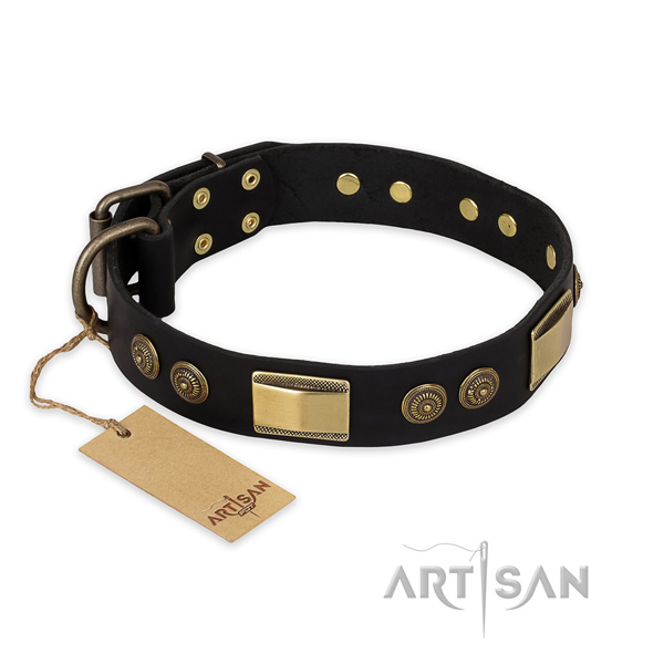 Everyday use leather collar with studs for your dog
