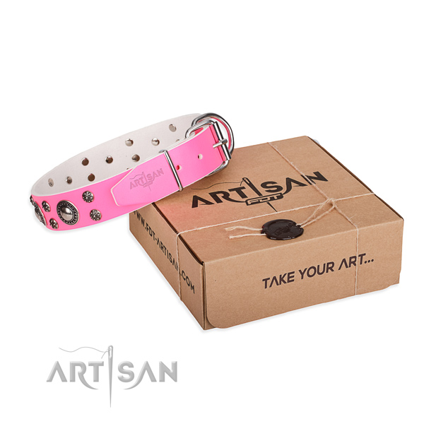 Daily leather dog collar with fancy decorations