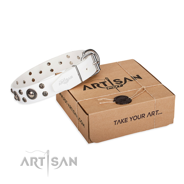 Casual style leather dog collar with incredible embellishments