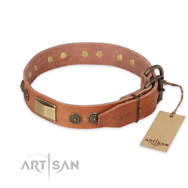 Stunning design adornments on natural genuine leather dog collar